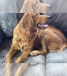 Father's photo