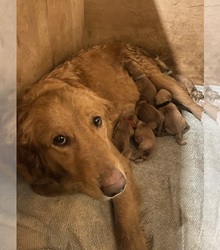 Mother's photo