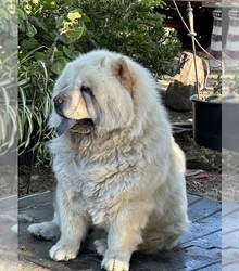 Mother's photo