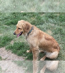 Mother's photo