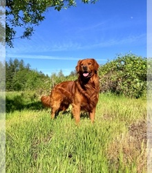 Father's photo