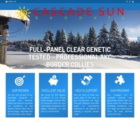 Image of website Cascade Sun Kennels  AKCABCA Border Collies