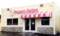 Image of website Forever Love Puppies