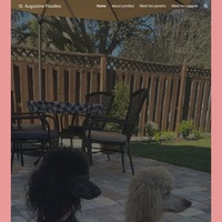 Image of website St Augustine Poodles