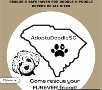 Image of website Adopt a Doodle SC