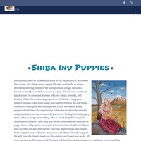 Image of website Shiba Inu